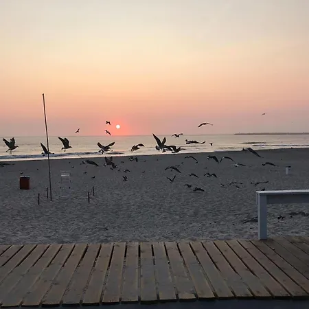 Apartament Sardine House *