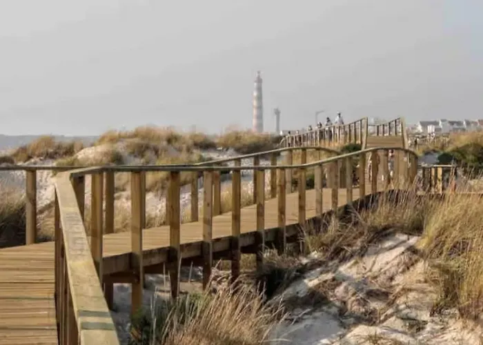 Apartment Sardine House