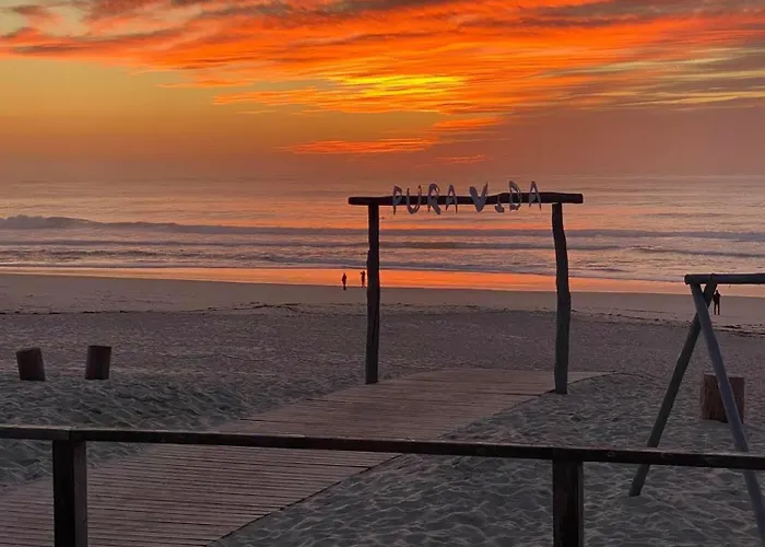 Sardine House Gafanha da Nazare